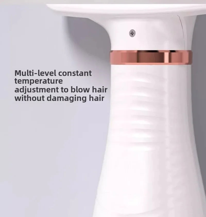 Pet Hair Dryer for Dogs Cats Bath Grooming Blow-dry Pets Products Accessories Low Noise Both Blow Comb Constant Temperature