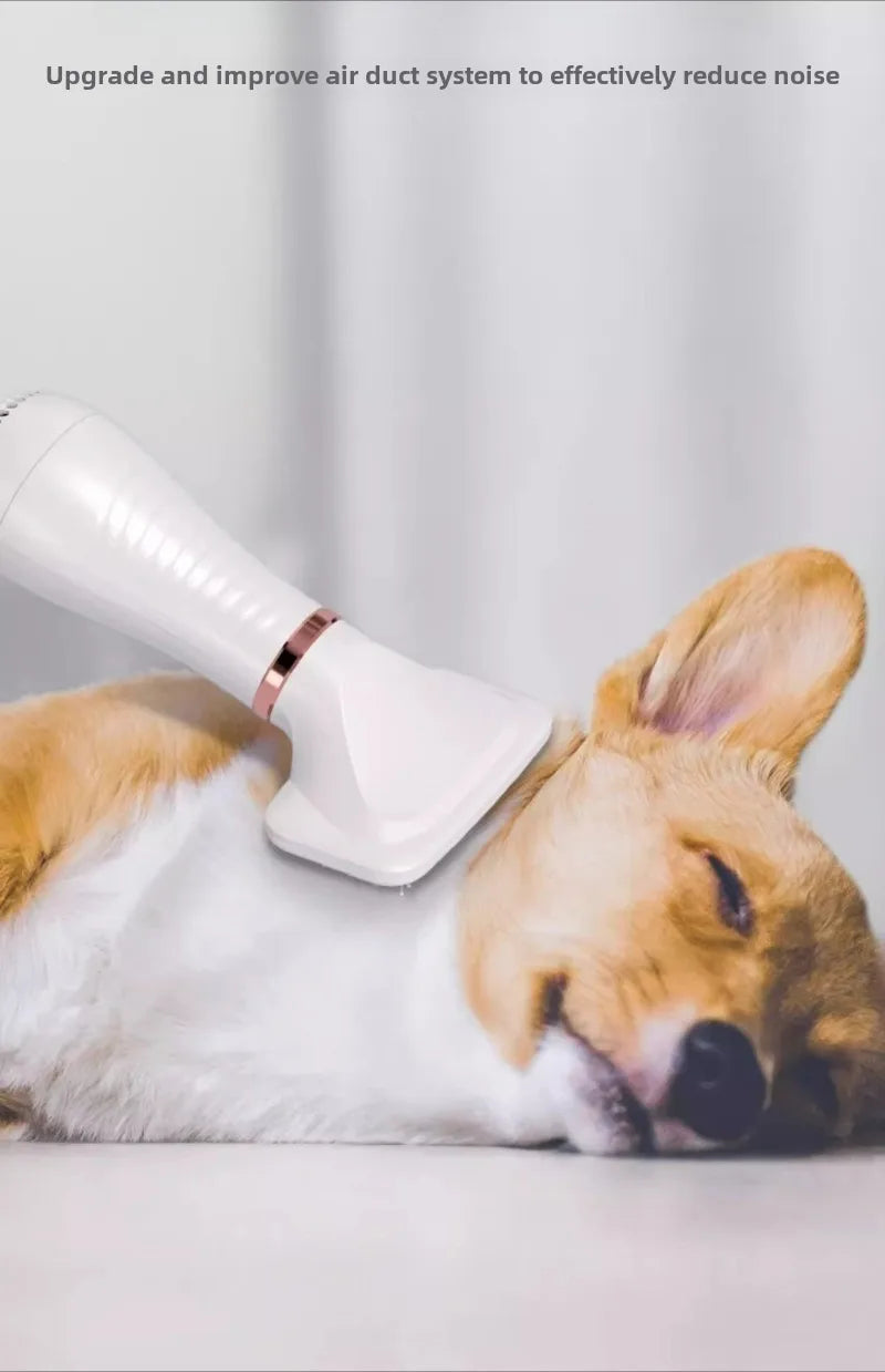 Pet Hair Dryer for Dogs Cats Bath Grooming Blow-dry Pets Products Accessories Low Noise Both Blow Comb Constant Temperature